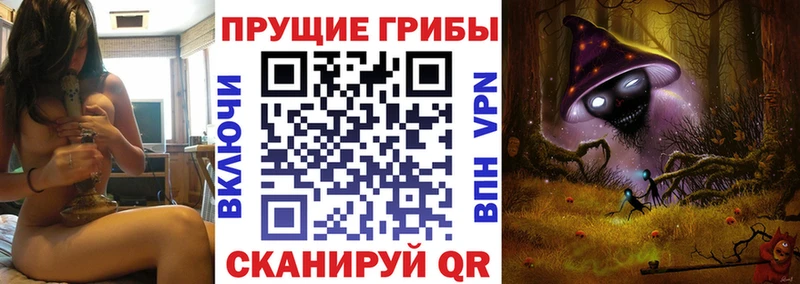 где можно купить наркотик  Борзя  Псилоцибиновые грибы мицелий 